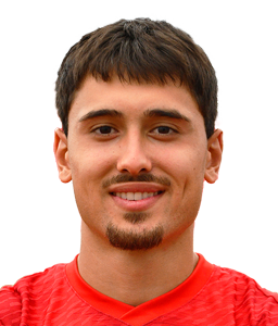 МИЛИЧИЋ Никола