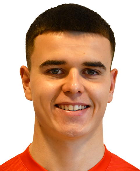 БОРОВИНА Срђан